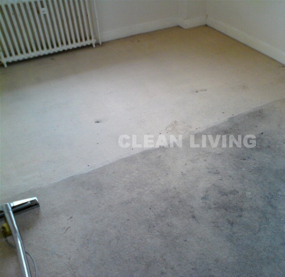 Carpet cleaning 